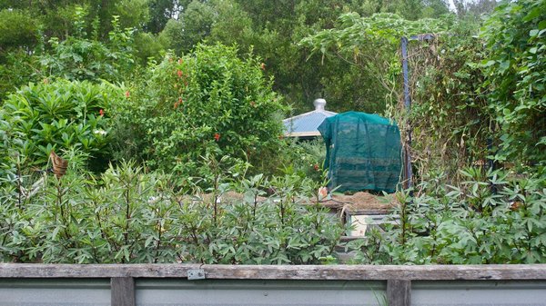 Comment utiliser des méthodes de permaculture pour un jardin de balcon durable?