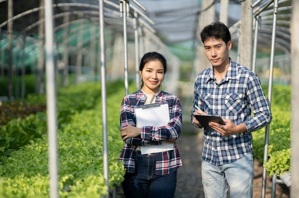Choisir le meilleur coupe-branche pour vos besoins de jardinage