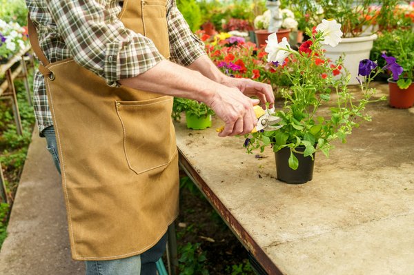 10 astuces déco élégantes pour revitaliser votre intérieur